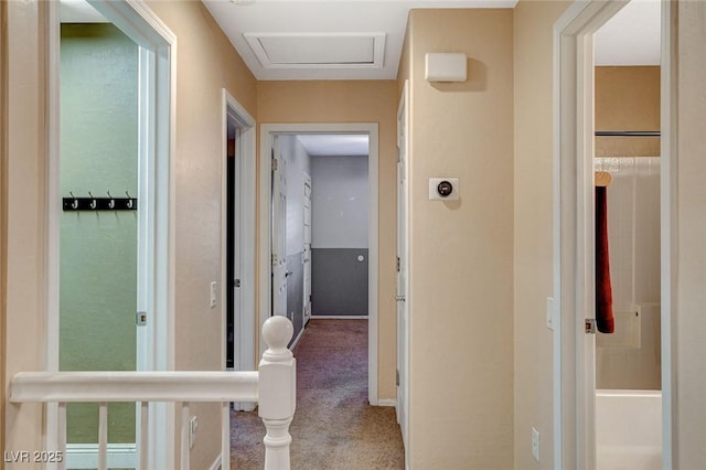 hall with attic access and carpet