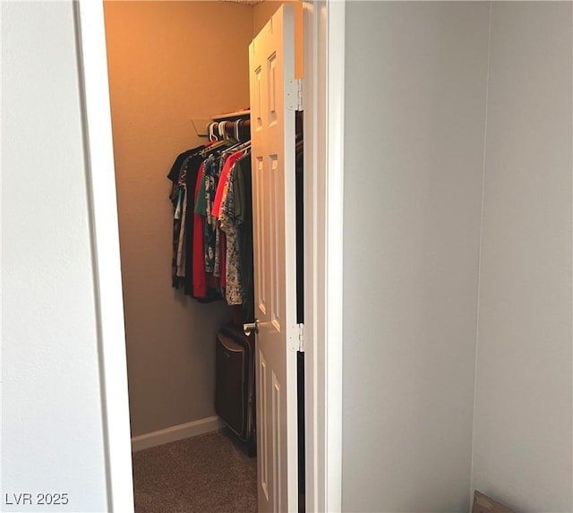 spacious closet featuring carpet