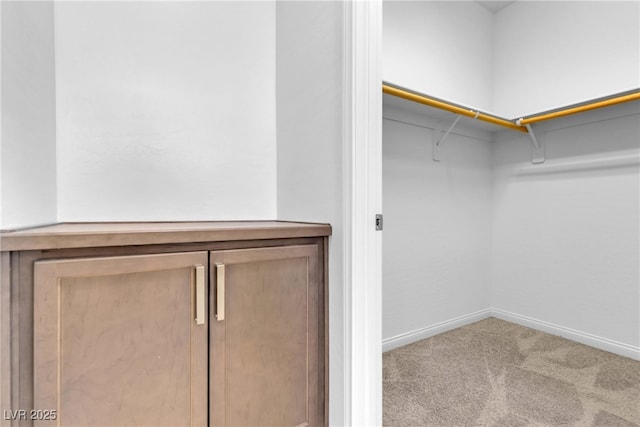 spacious closet with carpet floors