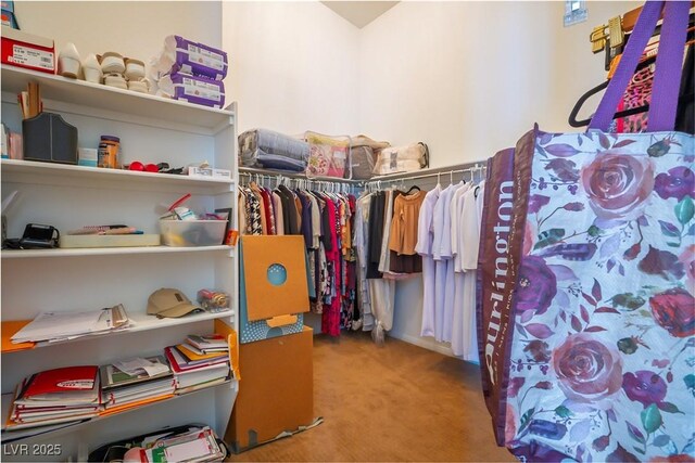 spacious closet with carpet flooring