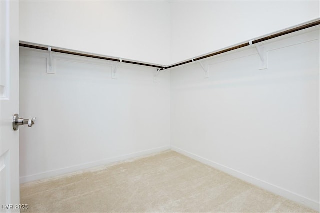 spacious closet with light carpet