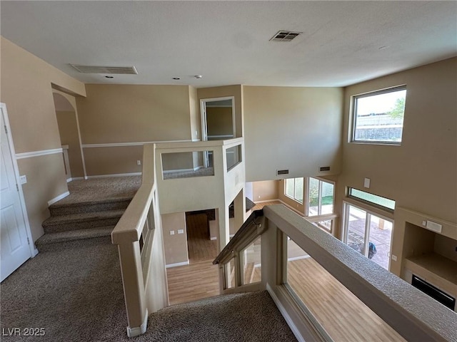 staircase featuring carpet flooring and visible vents