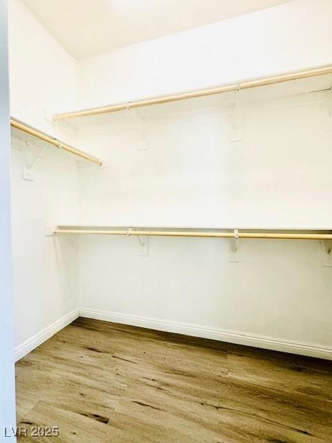 spacious closet featuring wood finished floors