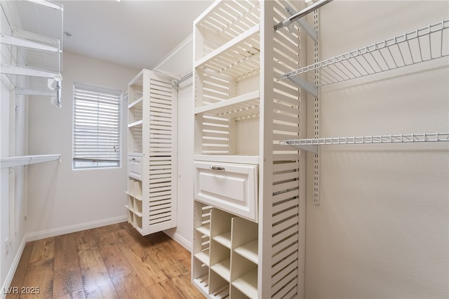 spacious closet with wood-type flooring