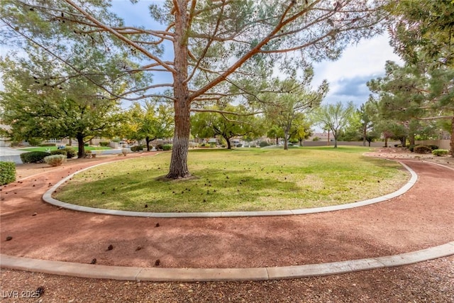 view of home's community with a lawn