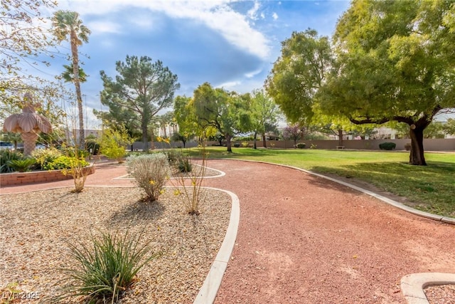 view of home's community with a lawn