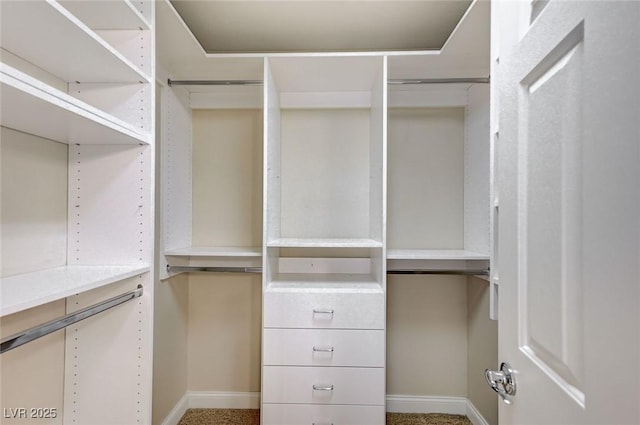 view of spacious closet