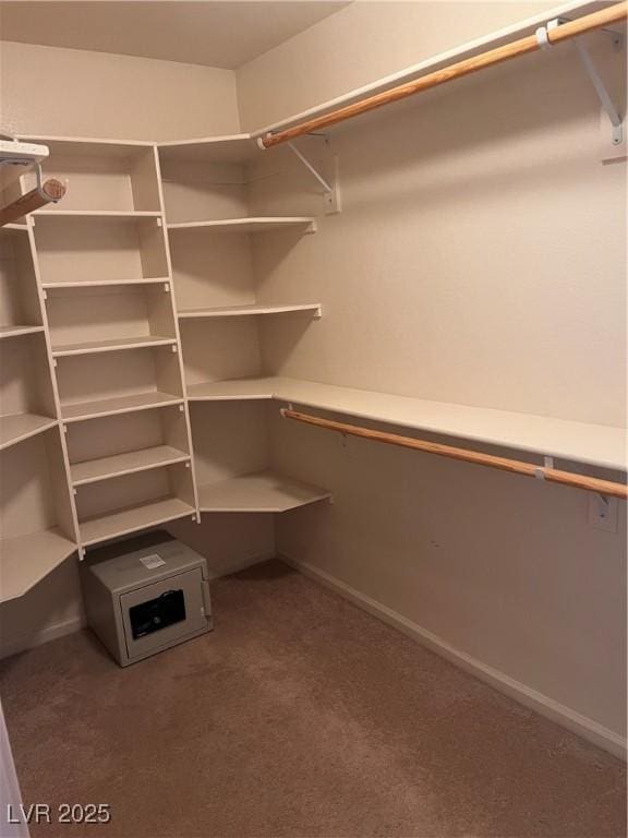 walk in closet with carpet flooring