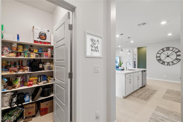 storage area featuring visible vents and a sink