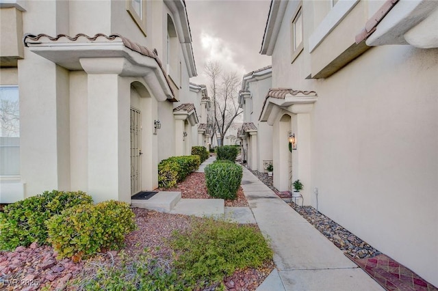 view of exterior entry featuring a tiled roof and stucco siding