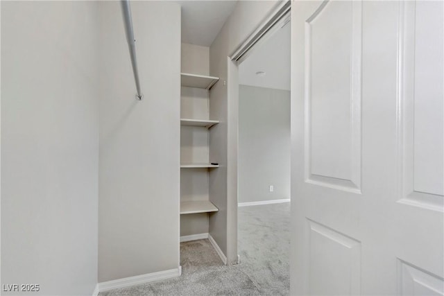 spacious closet with carpet flooring