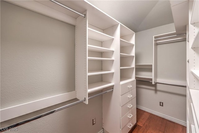 walk in closet featuring dark wood-type flooring