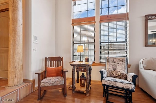 living area featuring wood finished floors