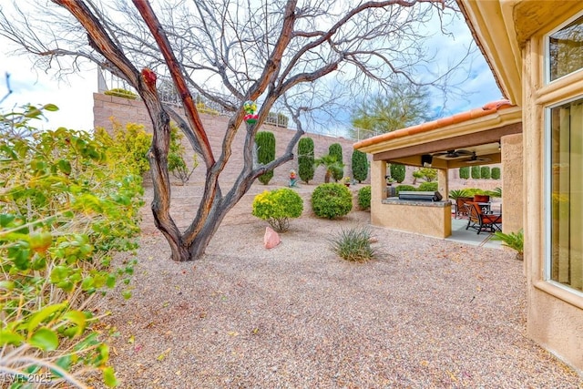 view of yard featuring exterior kitchen and a patio