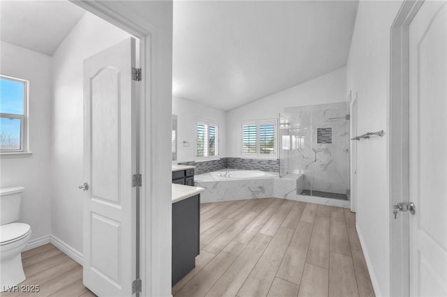 bathroom featuring vaulted ceiling, toilet, a marble finish shower, and wood finish floors