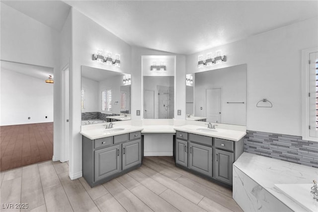 bathroom featuring a sink, two vanities, and wood finished floors