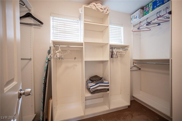 view of spacious closet