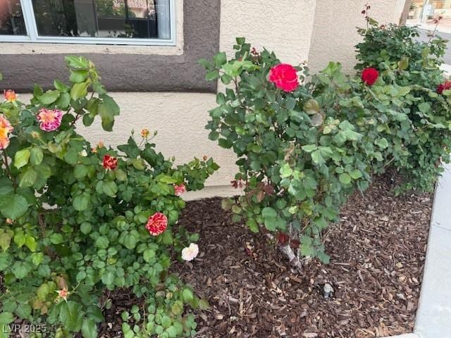 845 Holly Lake Way, Henderson, NV 89002 - exterior details with stucco siding