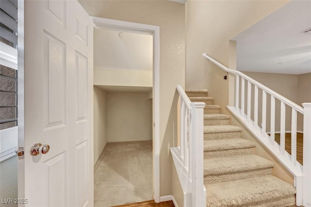 staircase with carpet flooring