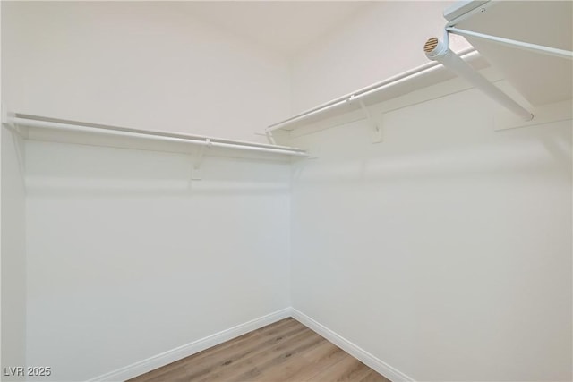 walk in closet featuring light wood-style floors