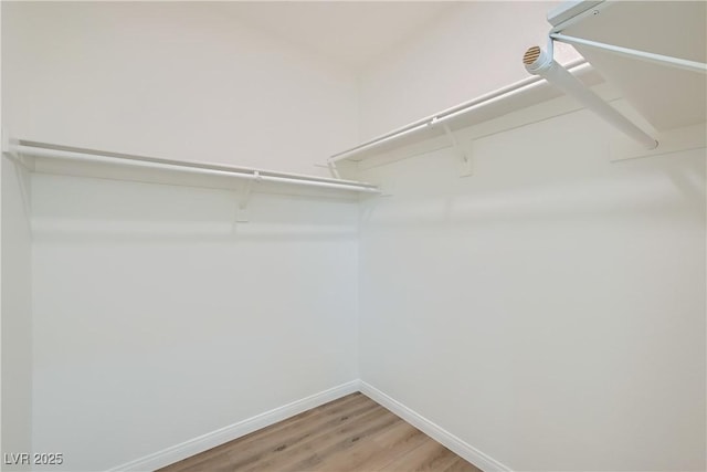 walk in closet with light wood-style flooring