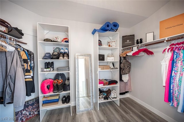 spacious closet featuring wood finished floors