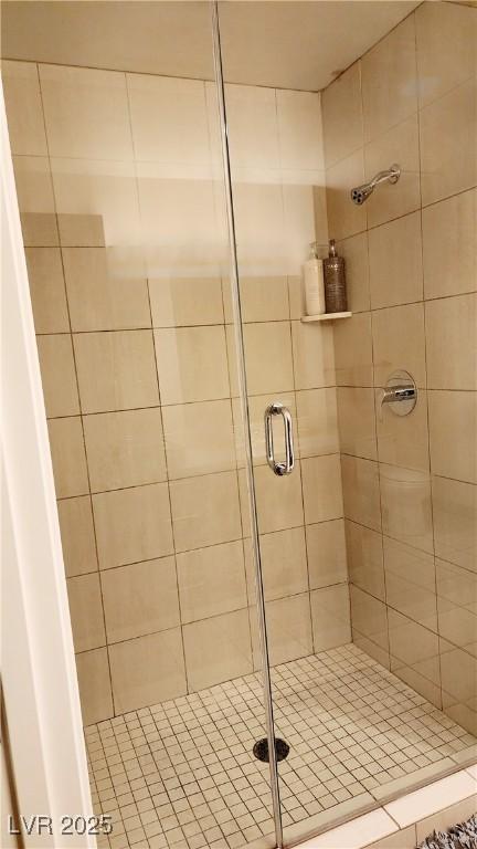 full bathroom featuring a shower stall