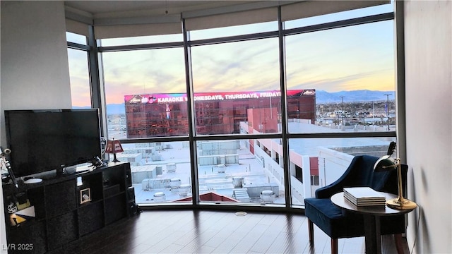 interior space with floor to ceiling windows and wood finished floors