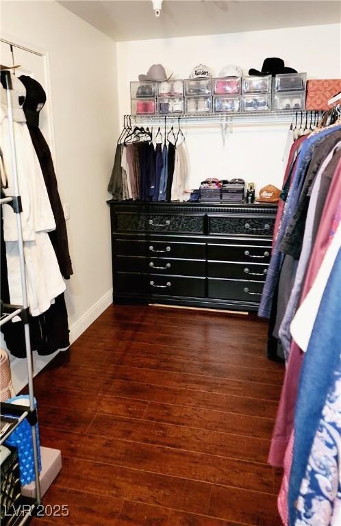 walk in closet featuring dark wood-style floors