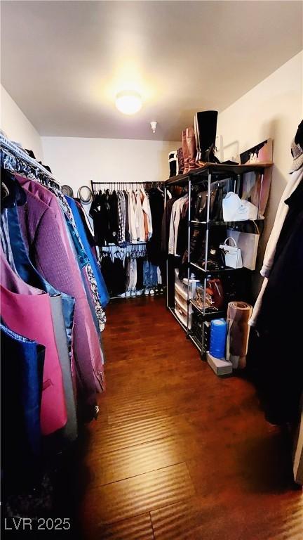 spacious closet featuring wood finished floors