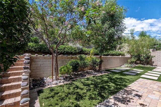 view of yard with a patio area and a fenced backyard