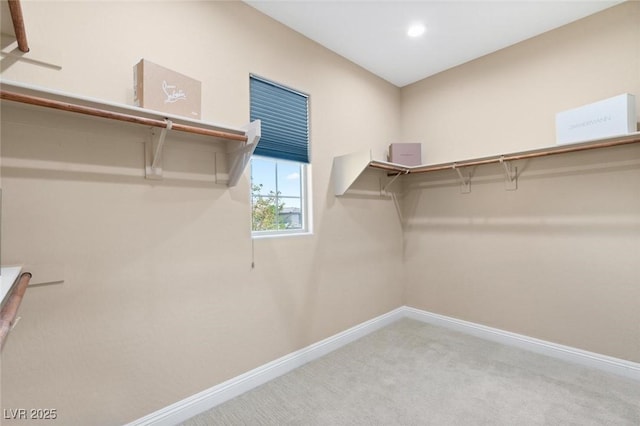 spacious closet with carpet flooring