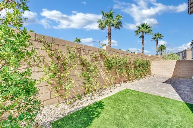 view of yard with a patio area and a fenced backyard