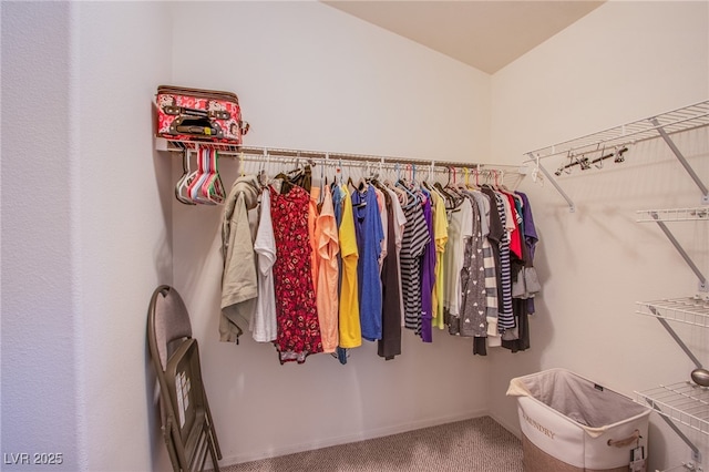 spacious closet with carpet floors