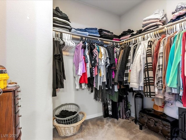 spacious closet with carpet flooring