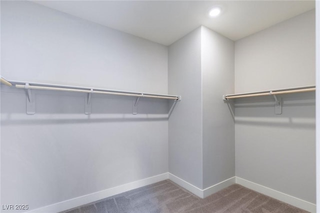 spacious closet with carpet