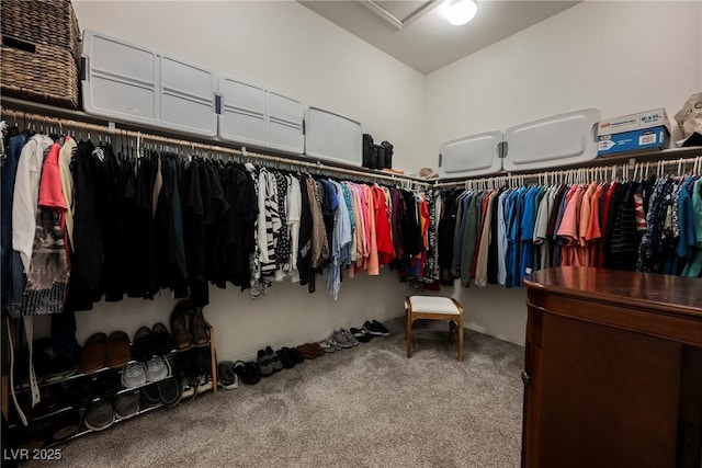 spacious closet with carpet flooring