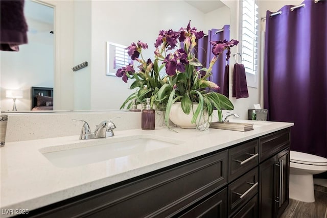 bathroom featuring toilet, double vanity, a sink, and wood finished floors