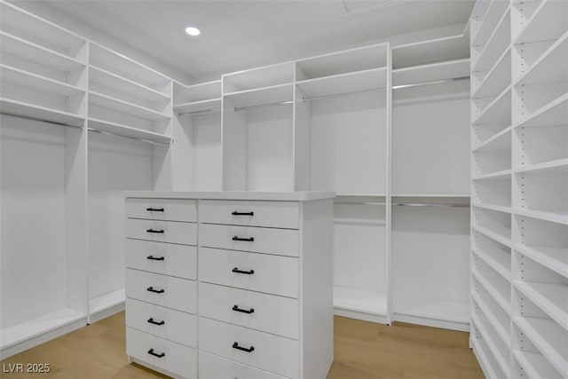 spacious closet featuring light wood-style floors