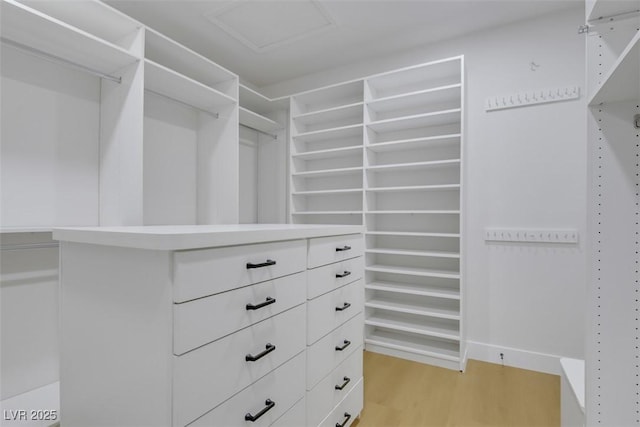 spacious closet featuring light wood-style flooring