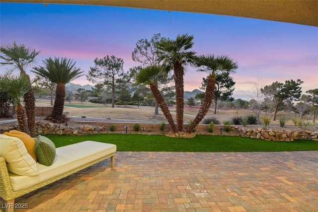 view of community featuring a yard and a patio