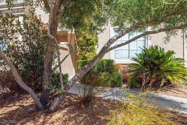 view of property exterior featuring stucco siding