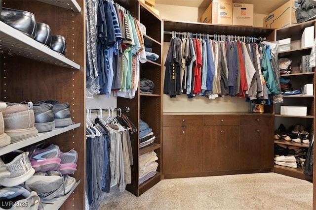 walk in closet with carpet