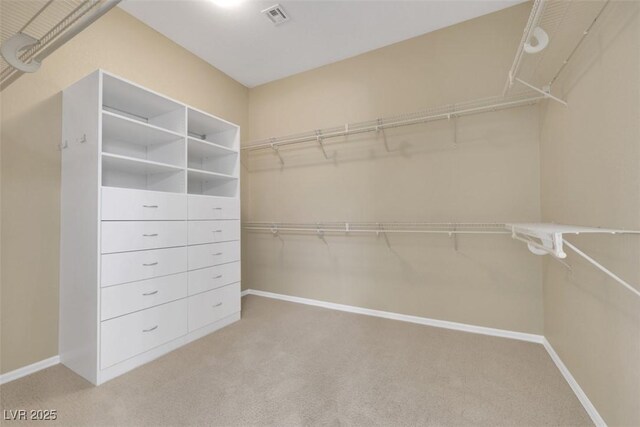 spacious closet featuring visible vents and carpet floors