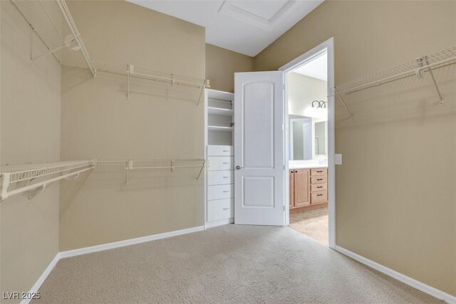 walk in closet featuring carpet flooring and attic access