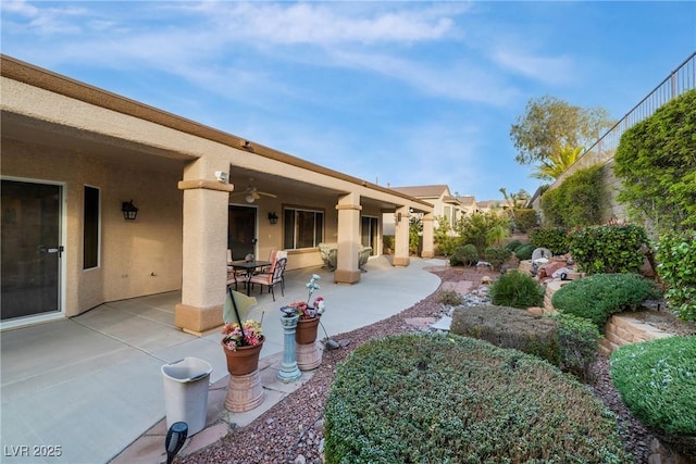 view of yard featuring a patio and a ceiling fan