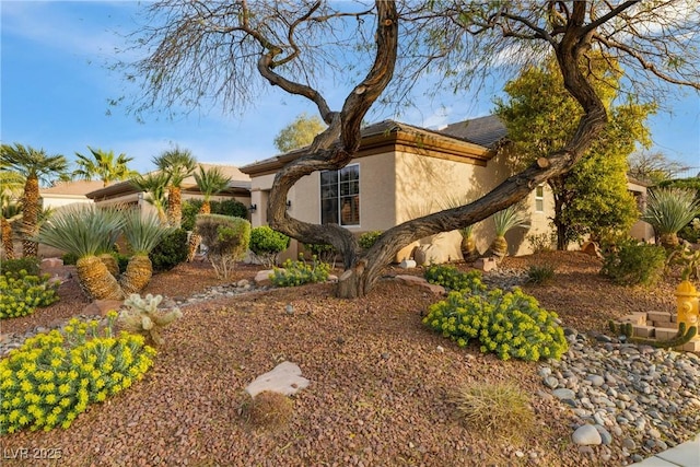 view of side of home with stucco siding