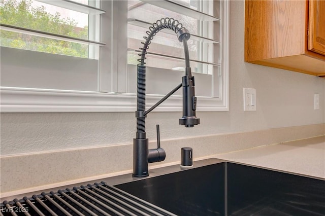 interior details with light countertops and a sink