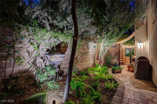 view of yard with a patio area and a fenced backyard