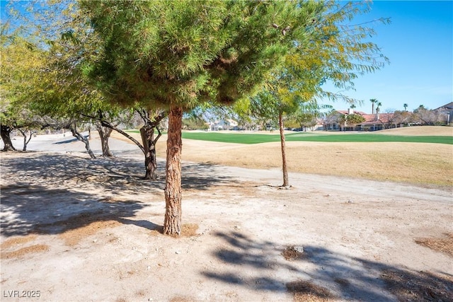 view of community featuring a lawn